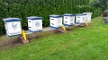 IMG-20260712-WA0000.jpg